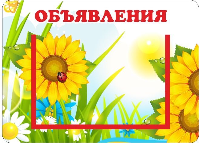 stend_obyavleniya_dlya_gruppy_podsolnukhi_0_33_0_24m.jpg