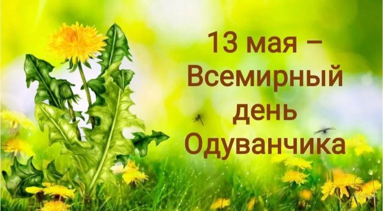 8ef1b78ef551488a260b0753c523292c.jpg